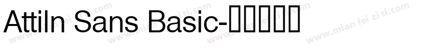 Attiln Sans Basic字体转换